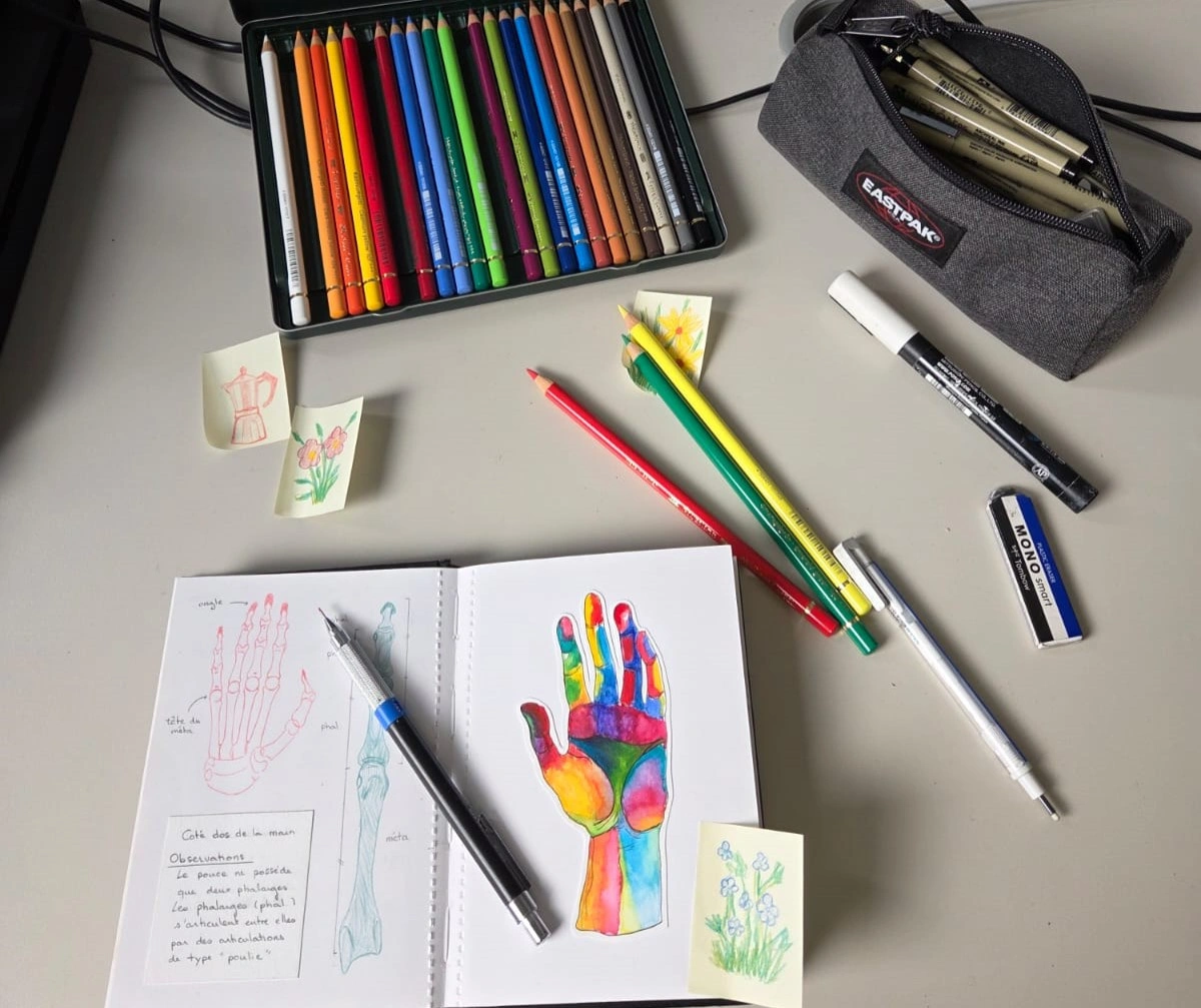 Coloured pencils and drawings on my desk